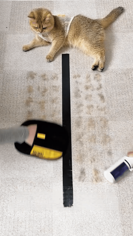 Pet Hair Removal Gloves